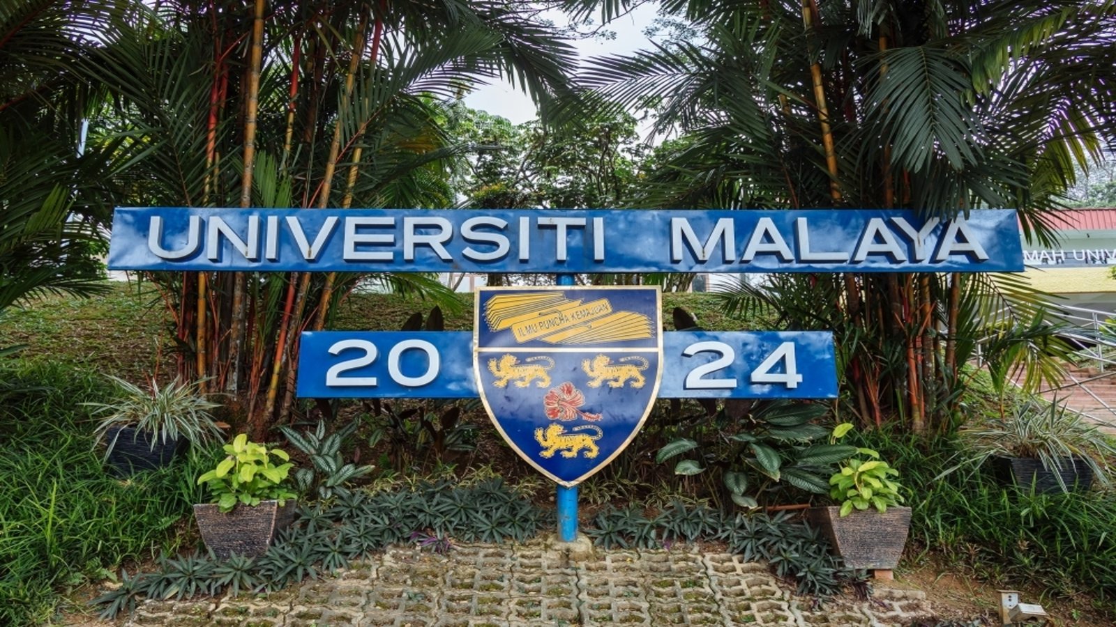 UM Lecturer and Students Questioned in Cat Deaths Investigation