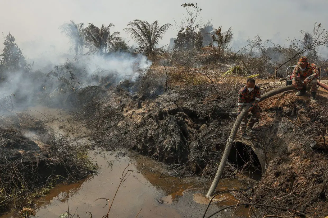 Cloud Seeding Considered to Control 137ha Kuantan Peatland Fire